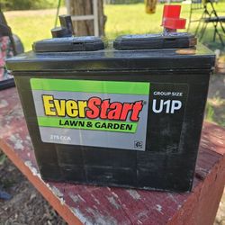 Never Used Lawnmower Battery 