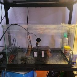 5 Gallon Rimless Aquarium W/ Seeded Hang On Back Filter