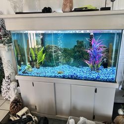 FISH TANK