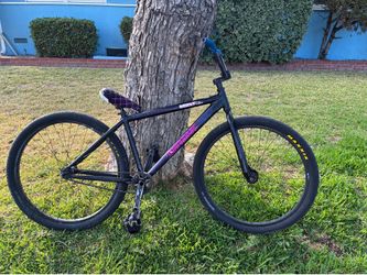 Throne 29er