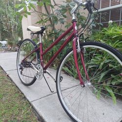 Hybrid Bike