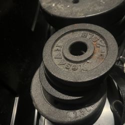 Gym Weights 