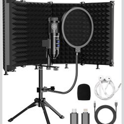 Recording Studio Microphone For Music Or Podcasting