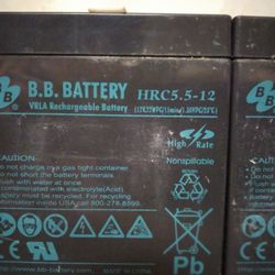 12 Volt Rechargeable Batteries 