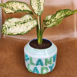 Plant Lady Ceramic Pot With Evergreen Plant