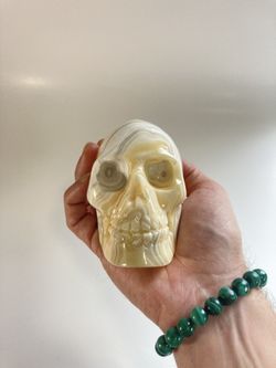 Onyx Skull - Polished