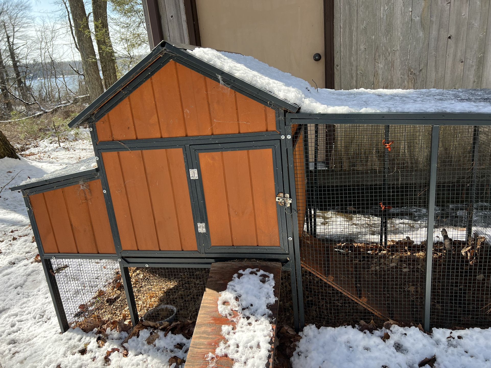Chicken Coop