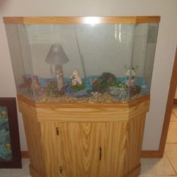 Fish Tank  I Think Around 40 Gallon