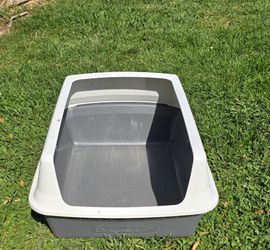 Litter Pan, "Exquisicat"