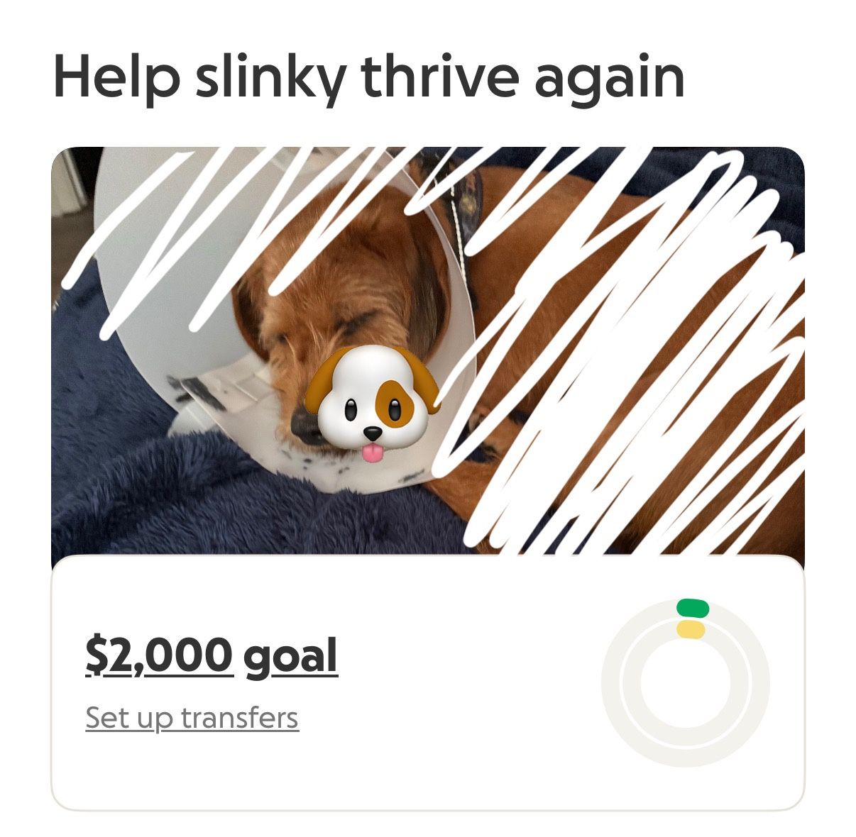 Life Saving πΆ Fundraiser