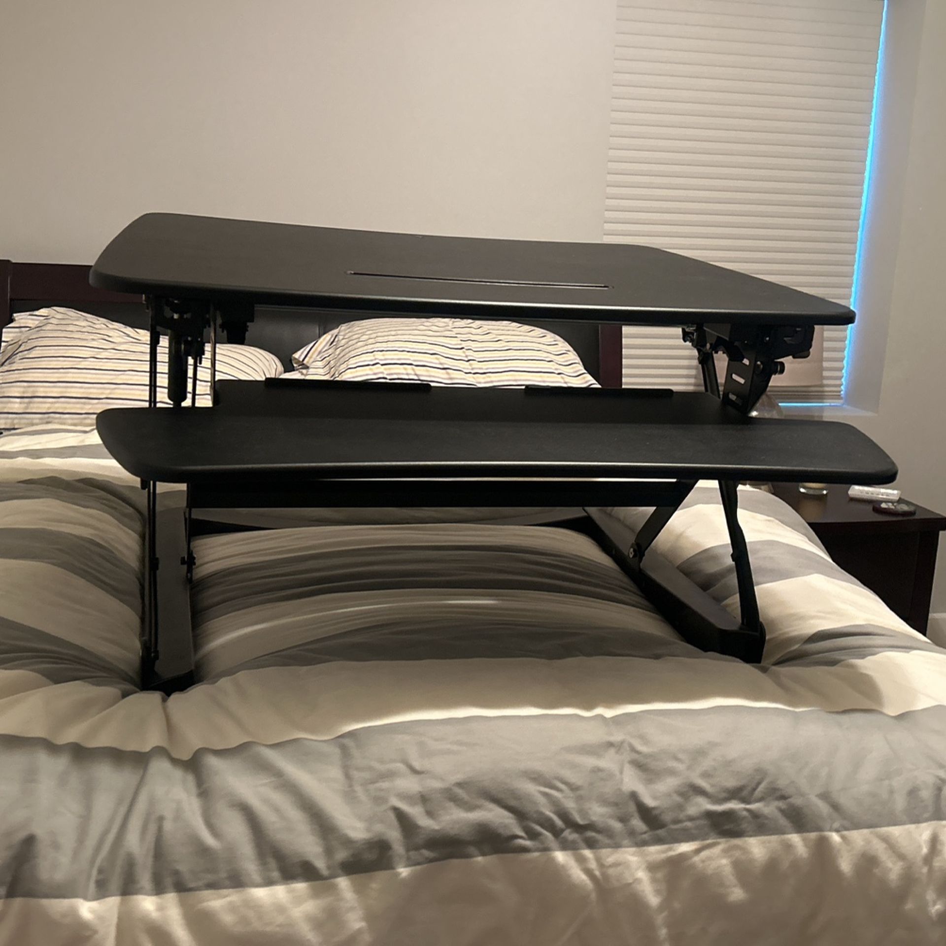  FlexiSpot Height Adjustable Desk Converter / Standing Desk