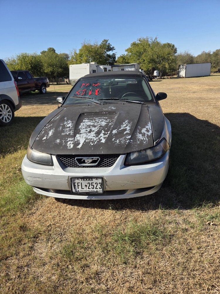 2000 Ford Mustang