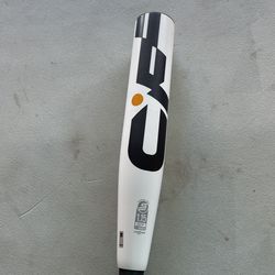 Baseball Bat