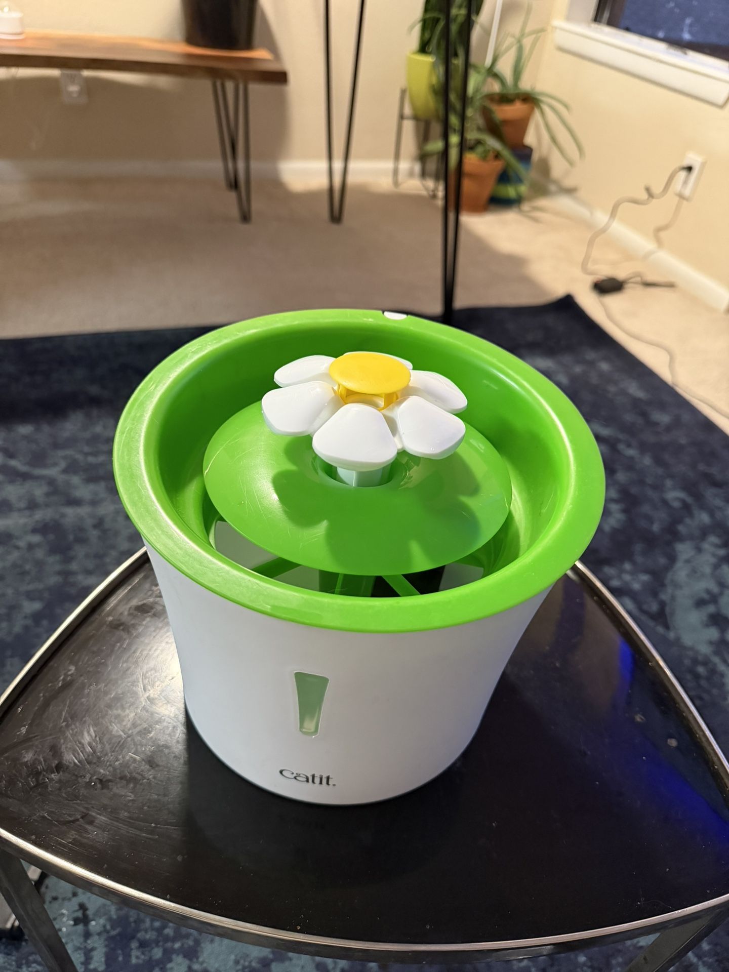 Flower Fountain For Cats 