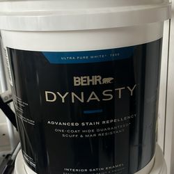 5 gal. Ultra Pure White Satin Enamel Interior Stain-Blocking Paint & Primer