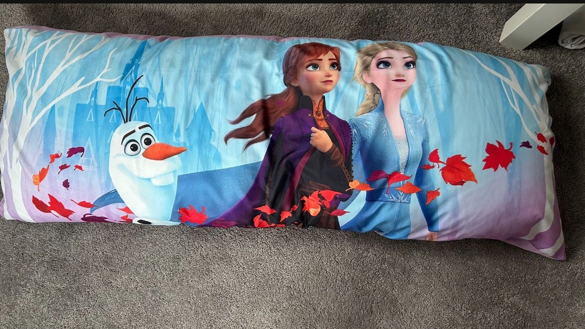 2 For 1 Frozen Pillows