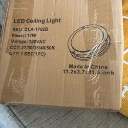 LED Ceiling Light 