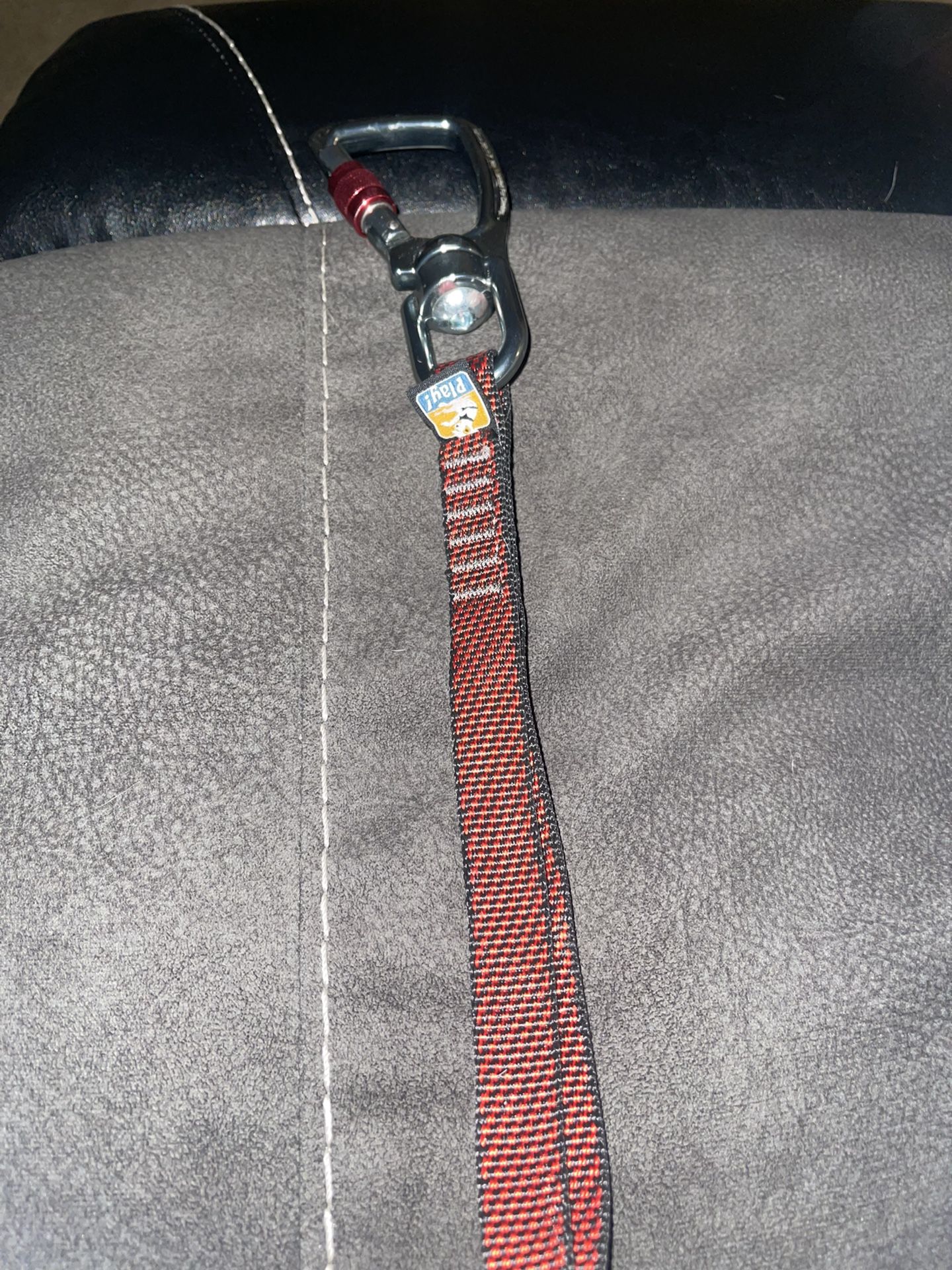 Seatbelt Tether Leash For Dogs 
