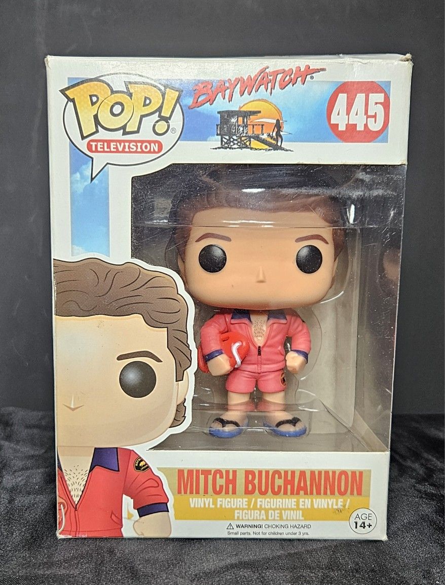 POP Television Mitch Buchannon 445
