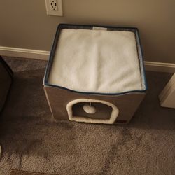 Cat Home