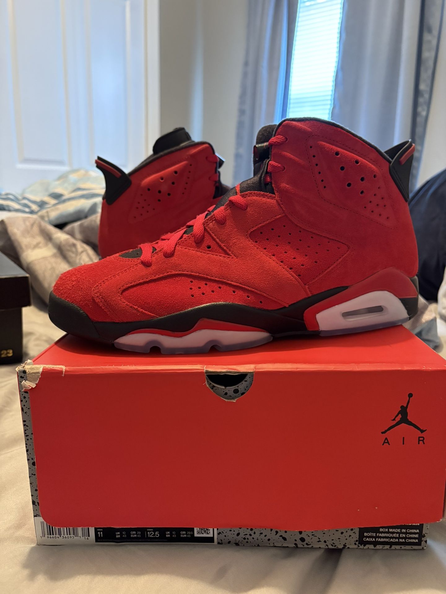 Jordan 6 Torro