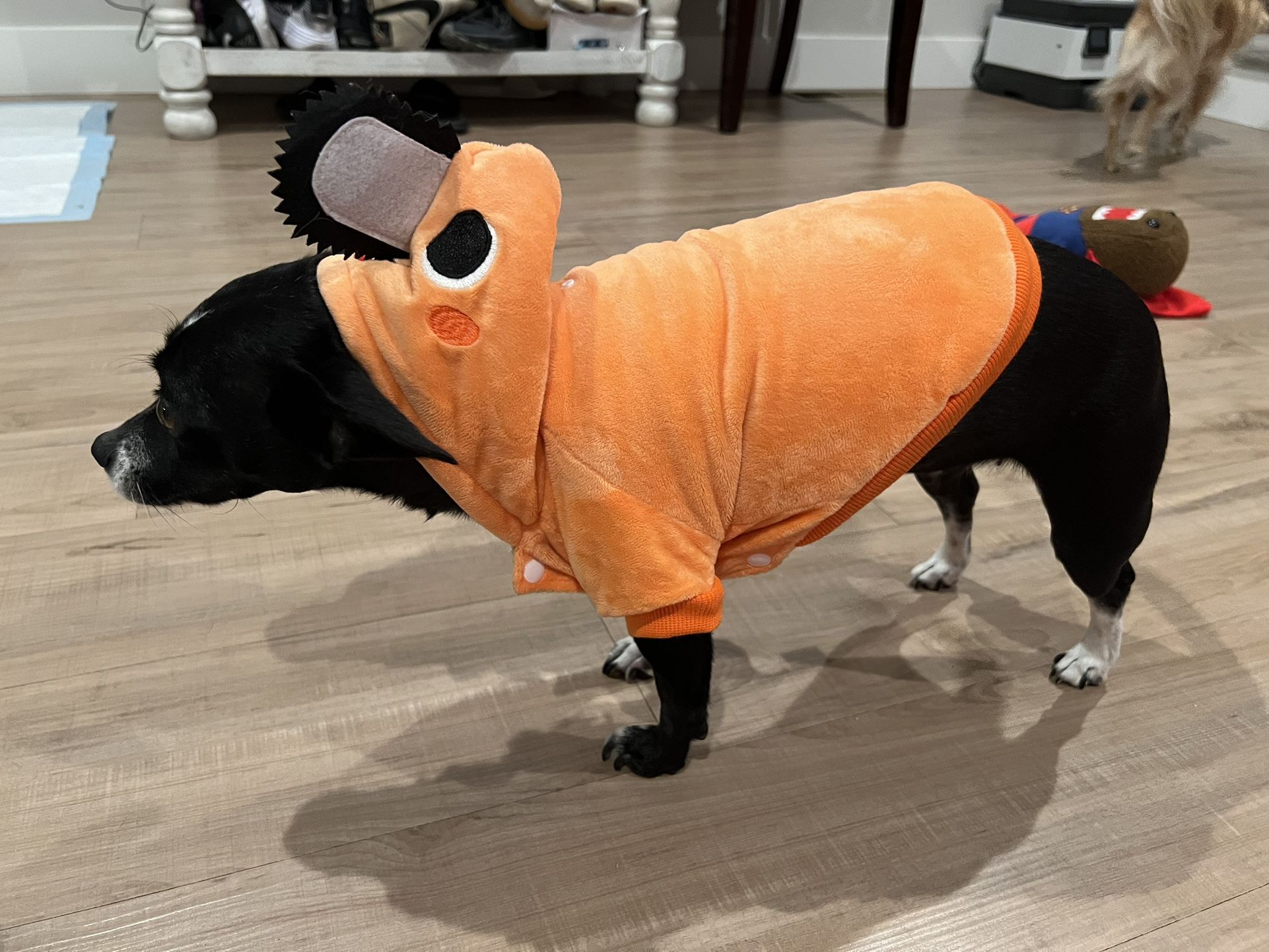 Pochita Dog Costume, From AnimeCon 2023