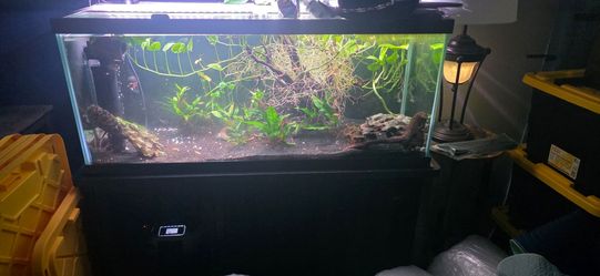 Fish tank and stand