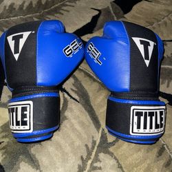 Boxing & MMA Gloves