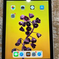 Ipad Air