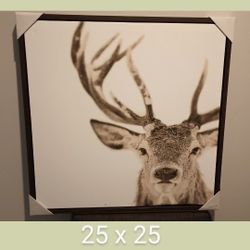 Brand New Photograph  25 X 25