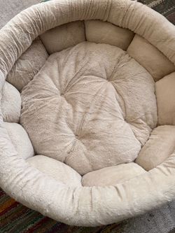 Cat bed