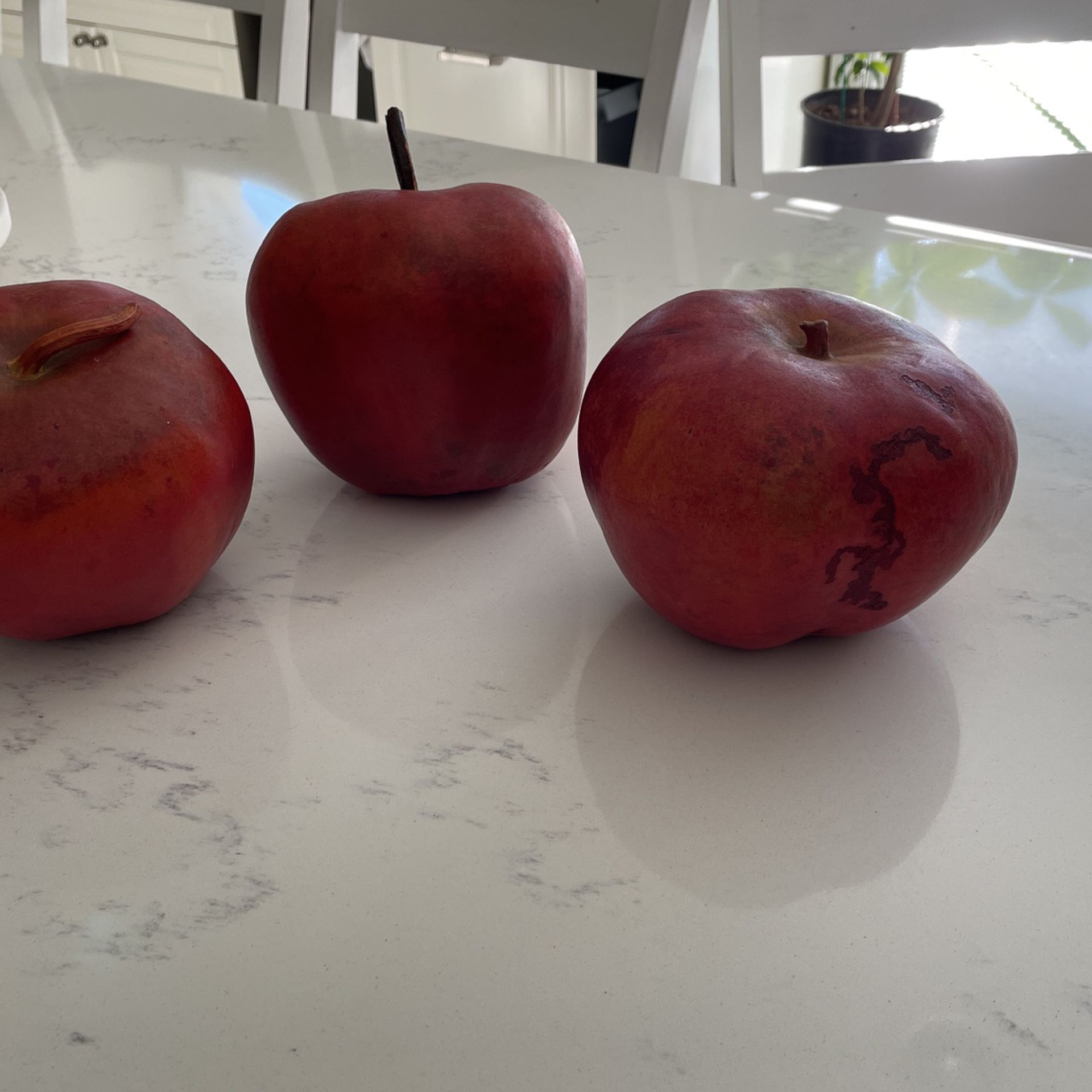 Apples Decorativas