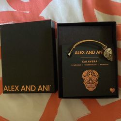Alex And Ani Bangle 