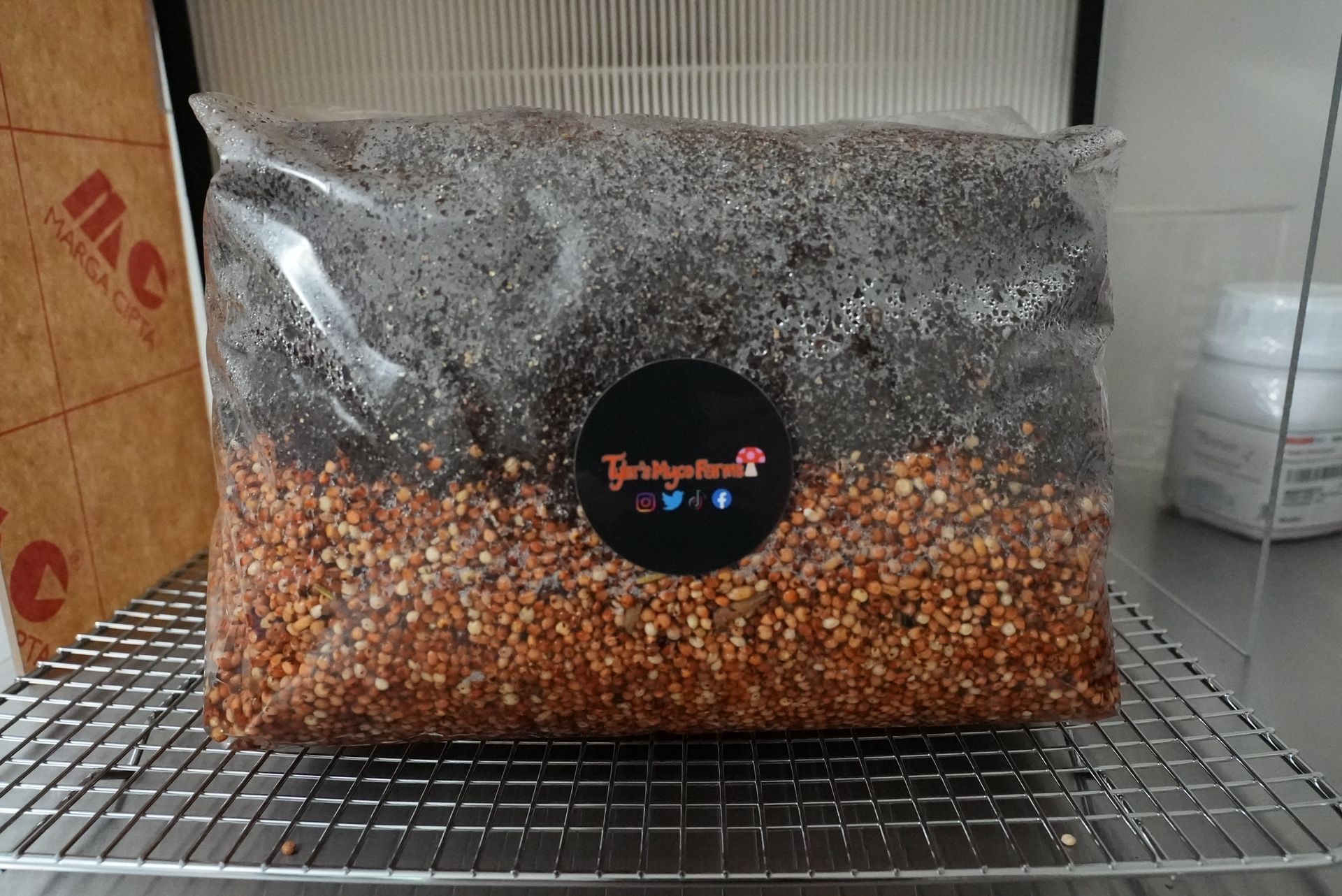 All In One Grow Gags For Growing Mushrooms