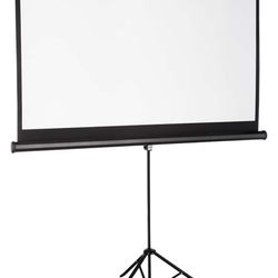Projector And Screen 