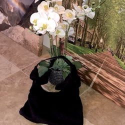 Rachel Zoe Monica Bow Purse