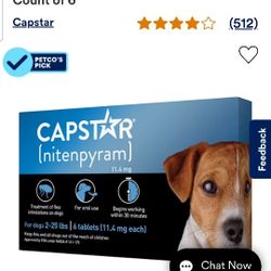 Dog Flea Infestation Treatment 