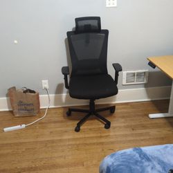 Home Office chair