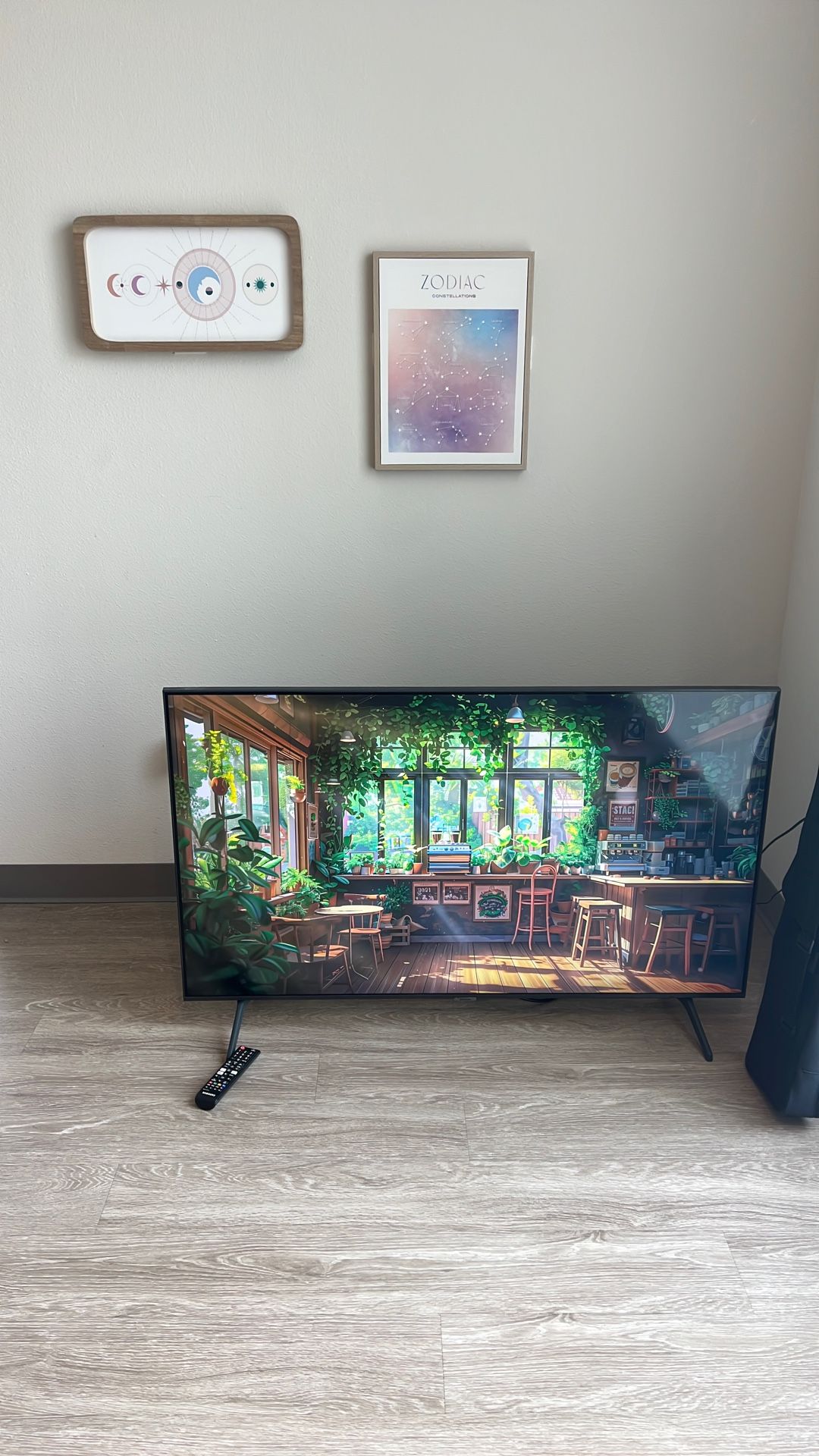 43in Tv 
