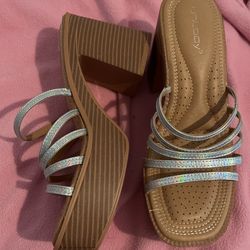 holographic Wedges