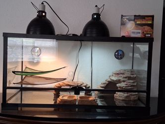 40 Gallon Glass Terrarium W/ Essentials!