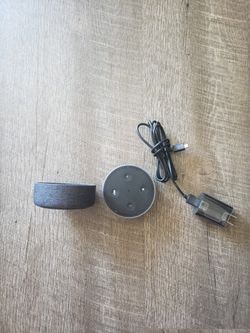 Echo Dot With Case