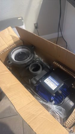 Swimming pool pump