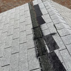 Roof Shingles