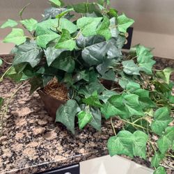 Artificial Decorative Ivy Potted Plant 