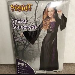 Girls Size Large Spider Sorcerer Costume 
