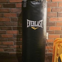 Everlasting Powercore Boxing Bag 