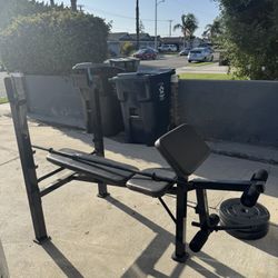 Weight Bench