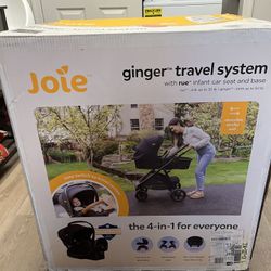Joie Ginger and Rue Travel System 