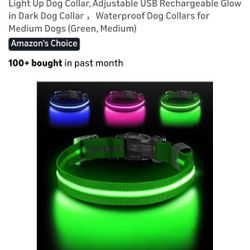 Pet Collar